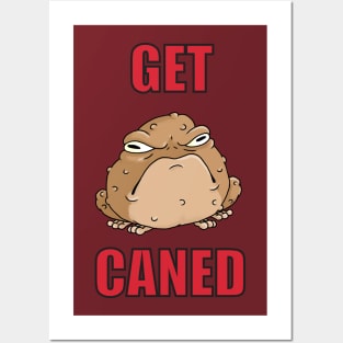 the cane toad Posters and Art